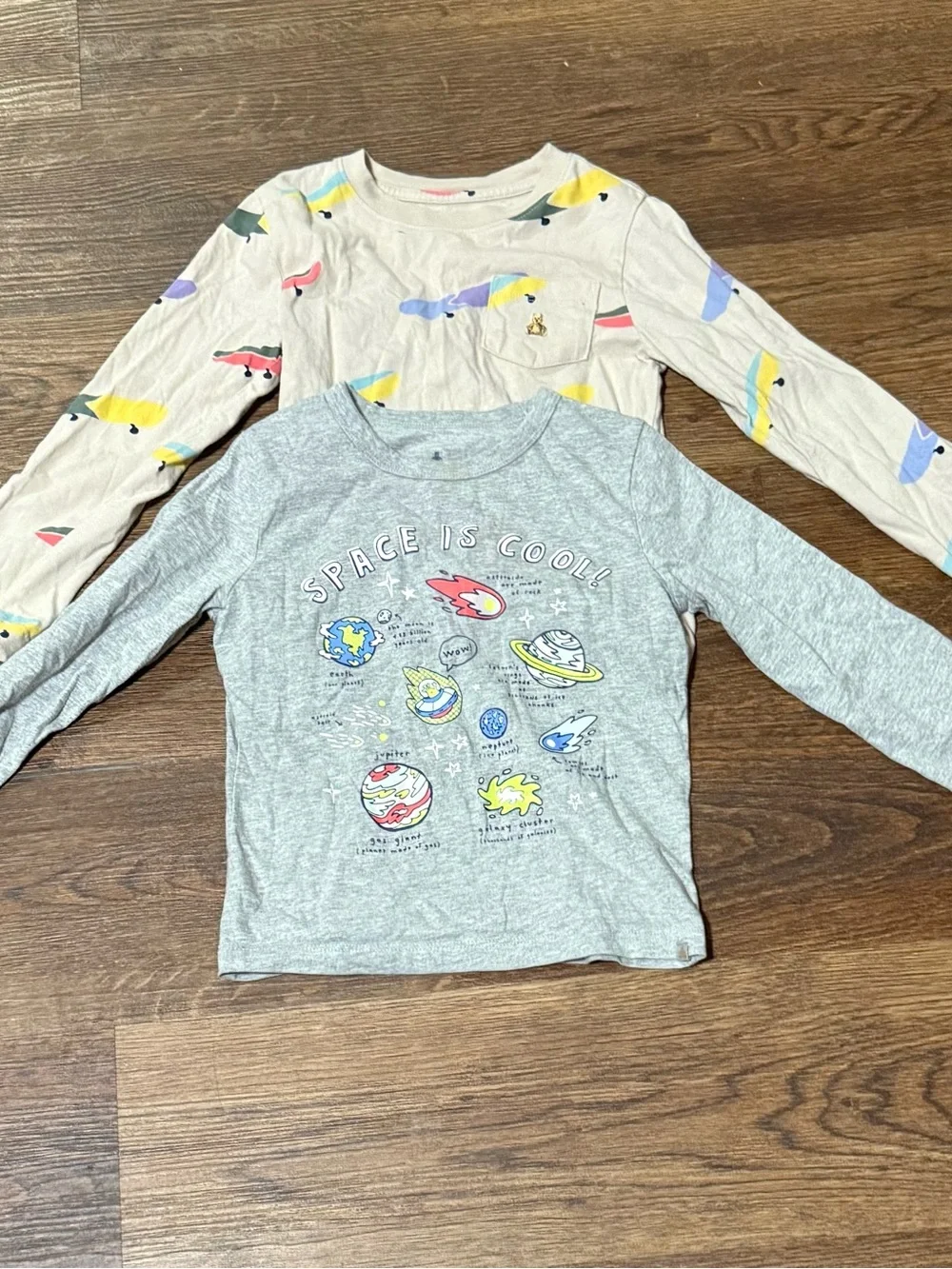 GAP Long-Sleeve Tees in Gray Space Graphic & Cream Bird Print